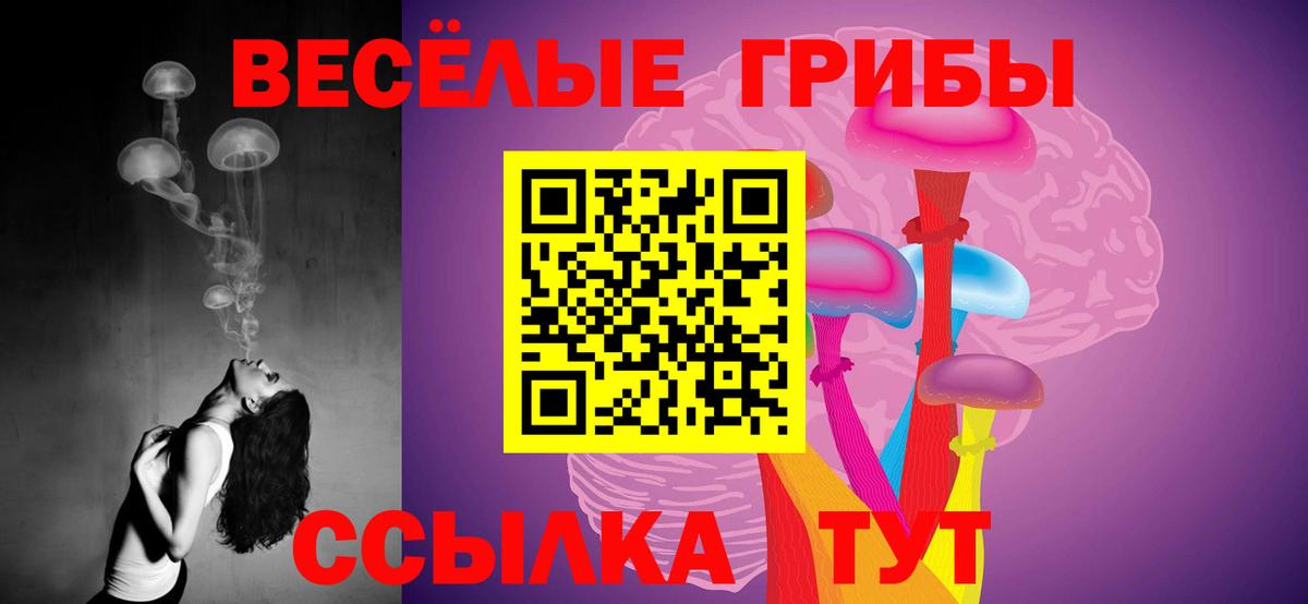 купить   Вход с VPN  Красноперекопск  Псилоцибиновые грибы MAGIC MUSHROOMS 